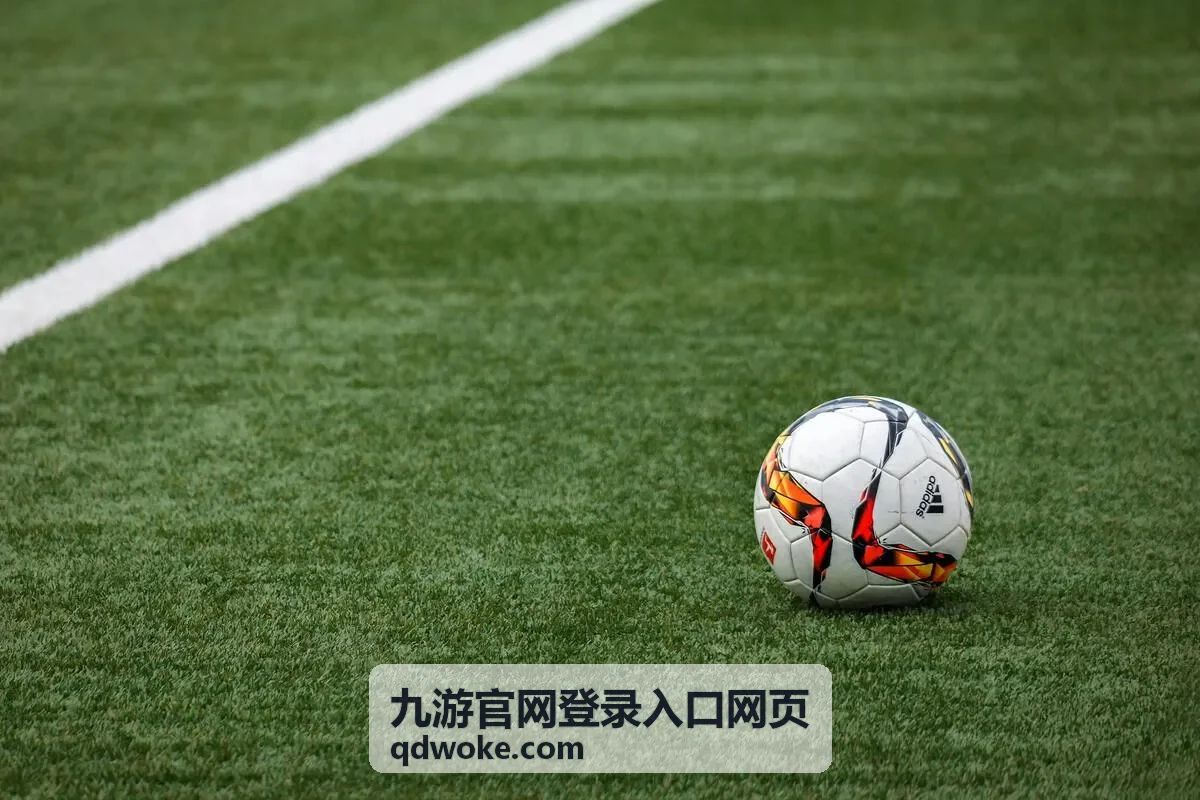 九游官网登录入口网页 网页端账号密码登录入口