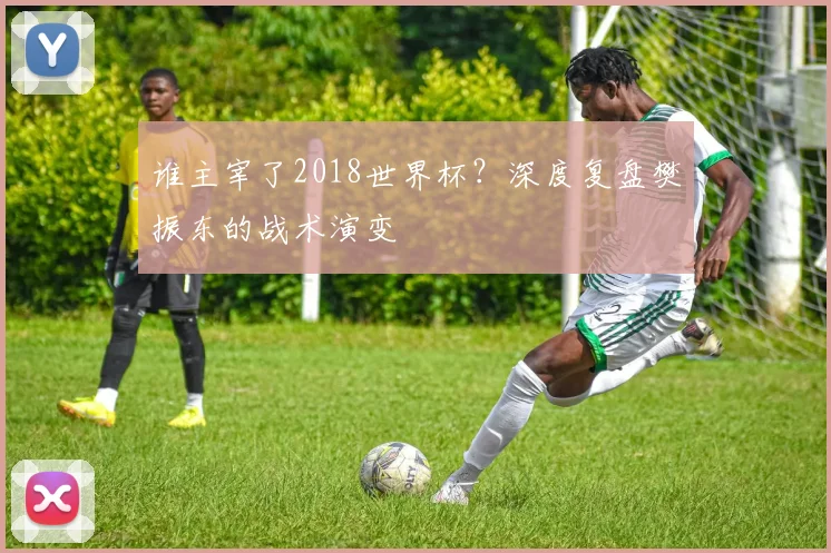 谁主宰了2018世界杯？深度复盘樊振东的战术演变