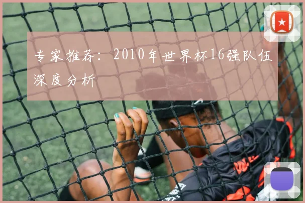 专家推荐：2010年世界杯16强队伍深度分析