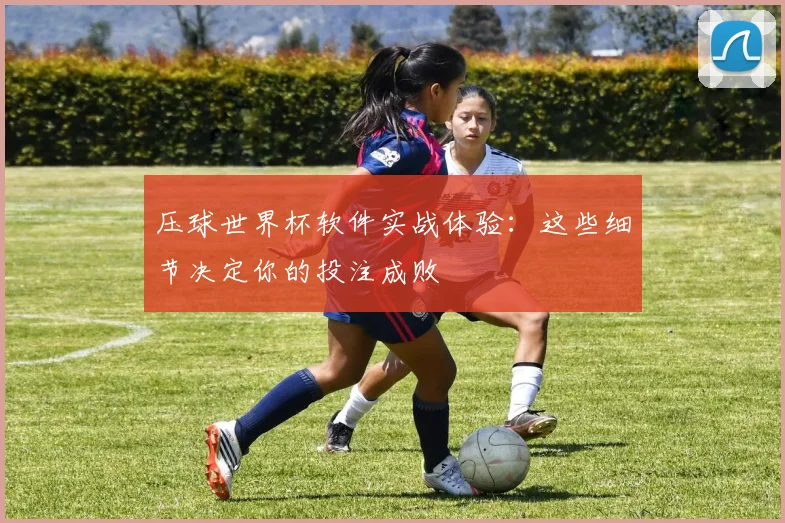 压球世界杯软件实战体验：这些细节决定你的投注成败