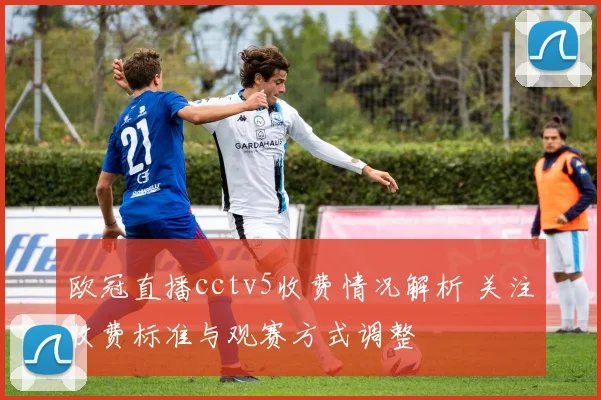 欧冠直播cctv5收费情况解析 关注收费标准与观赛方式调整
