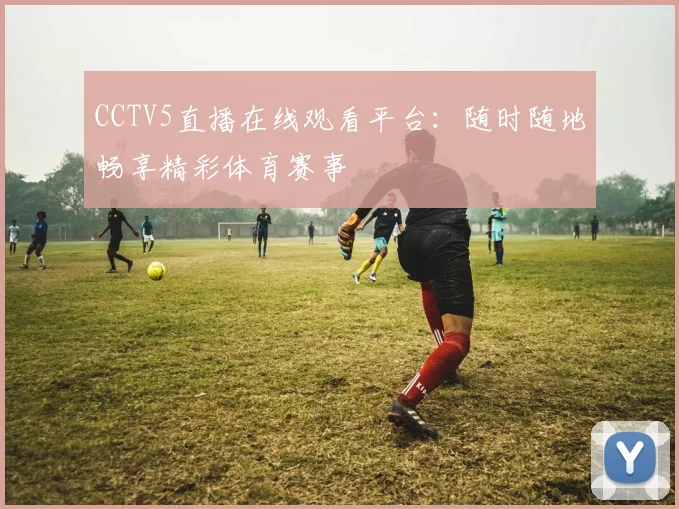 CCTV5直播在线观看平台：随时随地畅享精彩体育赛事