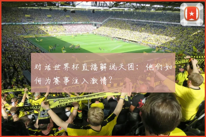 对话世界杯直播解说天团：他们如何为赛事注入激情？