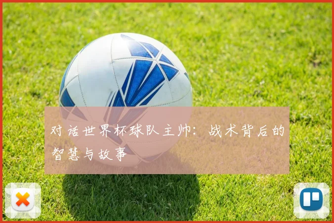 对话世界杯球队主帅：战术背后的智慧与故事